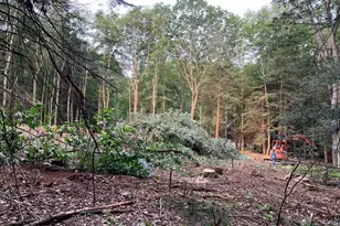 62 Wild Turkey Ct, Oakland, MD 21550 - Photo 24