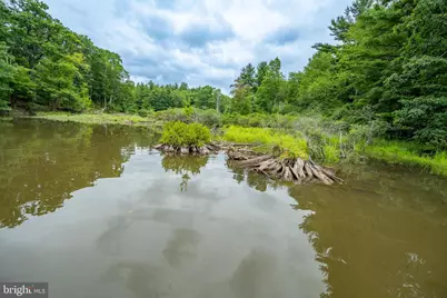 12 Michelle Drive, Swanton, MD 21561 - Photo 20