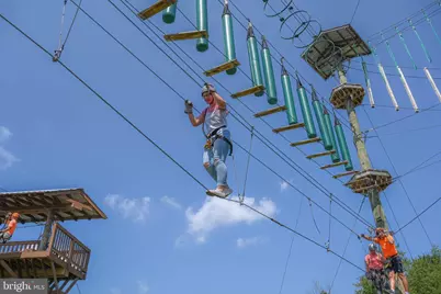 12 Michelle Drive, Swanton, MD 21561 - Photo 42