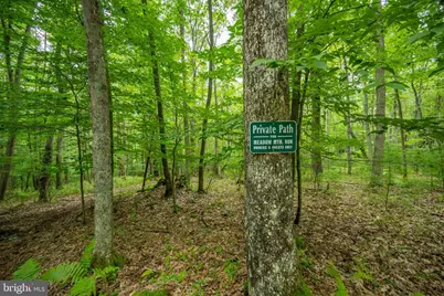 12 Michelle Drive, Swanton, MD 21561 - Photo 10