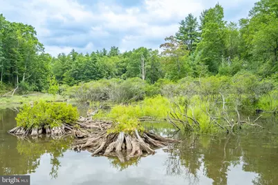 12 Michelle Drive, Swanton, MD 21561 - Photo 22