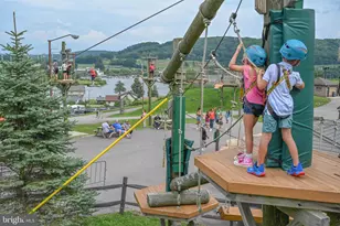 105 Mountain Overlook Ct, Mc Henry, MD 21541 - Photo 106