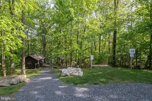 105 Mountain Overlook Ct, Mc Henry, MD 21541 - Photo 94