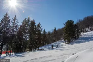 105 Mountain Overlook Ct, Mc Henry, MD 21541 - Photo 102