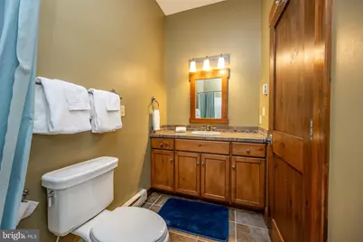 105 Mountain Overlook Court, Mc Henry, MD 21541 - Photo 48