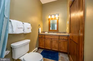 105 Mountain Overlook Ct, Mc Henry, MD 21541 - Photo 48