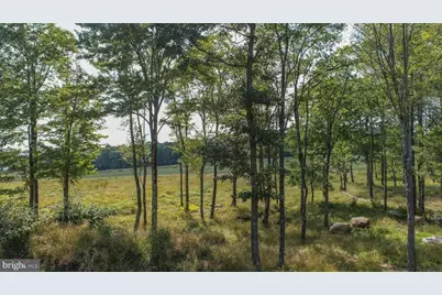 6 Irwin Way, Mc Henry, MD 21541 - Photo 2