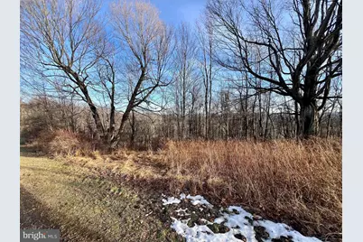 Lot 20 Paradise Ridge Road, Oakland, MD 21550 - Photo 12