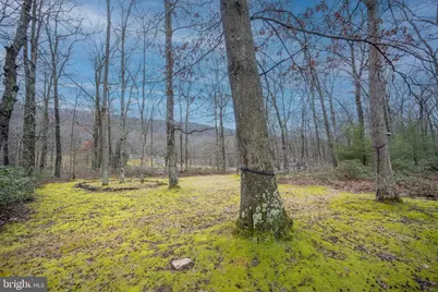 526 Gleanings Drive, Mc Henry, MD 21541 - Photo 62