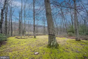 526 Gleanings Dr, Mc Henry, MD 21541 - Photo 62