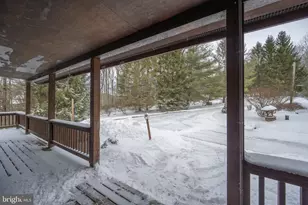 300 Normas Way, Mc Henry, MD 21541 - Photo 42