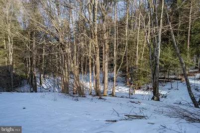 1358 Crellin Underwood Road, Oakland, MD 21550 - Photo 6