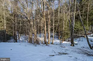 1358 Crellin Underwood Rd, Oakland, MD 21550 - Photo 6