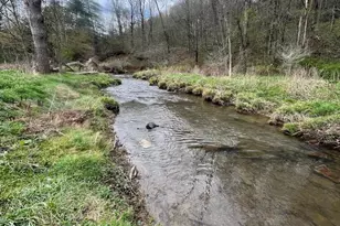 107 Shade Hollow Rd, Grantsville, MD 21536 - Photo 2