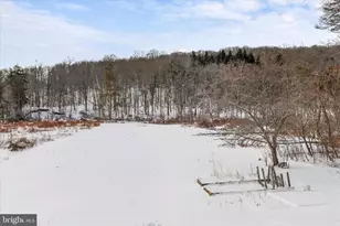 107 Shade Hollow Rd, Grantsville, MD 21536 - Photo 36