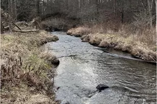 107 Shade Hollow Rd, Grantsville, MD 21536 - Photo 2