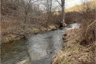 107 Shade Hollow Rd, Grantsville, MD 21536 - Photo 40