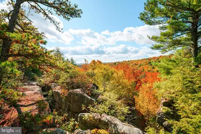 931 Black Oak Drive, Oakland, MD 21550 - Photo 50