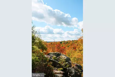 931 Black Oak Drive, Oakland, MD 21550 - Photo 48