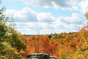 931 Black Oak Dr, Oakland, MD 21550 - Photo 48