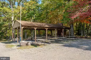 931 Black Oak Dr, Oakland, MD 21550 - Photo 38