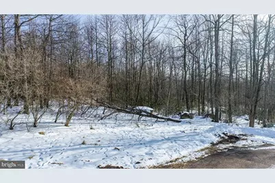 93 Black Diamond Court, Mc Henry, MD 21541 - Photo 6