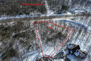 93 Black Diamond Ct, Mc Henry, MD 21541 - Photo 1