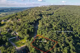 Lot 168 Fork Run Trail, Mc Henry, MD 21541 - Photo 1