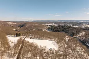 3395 Fingerboard Rd, Oakland, MD 21550 - Photo 8