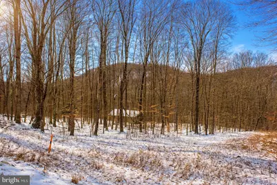 6 Sparrow Trail, Friendsville, MD 21531 - Photo 2