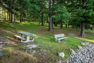 18 Frederick Cir, Swanton, MD 21561 - Photo 54