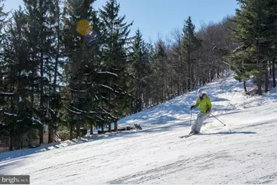 723 Pinnacle Drive, Swanton, MD 21561 - Photo 86