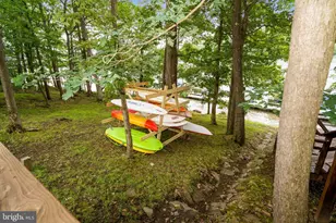 723 Pinnacle Dr, Swanton, MD 21561 - Photo 4