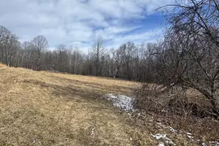 18711 Maryland Hwy, Swanton, MD 21561 - Photo 18