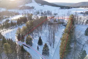 72 Jakes Dr, Mc Henry, MD 21541 - Photo 10