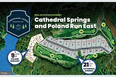 Lot 7 Poland Run East Thousand Acres Road, Swanton, MD 21561 - Photo 2