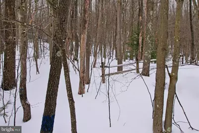 33 Teaberry Ridge Road, Lonaconing, MD 21539 - Photo 82