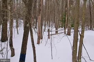 33 Teaberry Ridge Rd, Lonaconing, MD 21539 - Photo 82