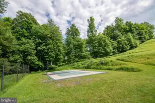 52 Dm Vw Dr, Oakland, MD 21550 - Photo 66