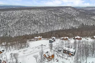 957 N Camp Rd, Mc Henry, MD 21541 - Photo 46