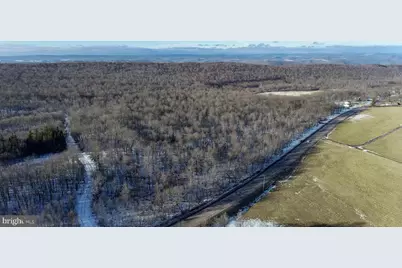 49.08 Acres Maryland Highway, Swanton, MD 21561 - Photo 6