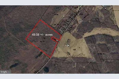 49.08 Acres Maryland Highway, Swanton, MD 21561 - Photo 22