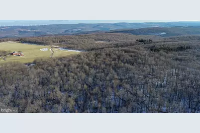 49.08 Acres Maryland Highway, Swanton, MD 21561 - Photo 14