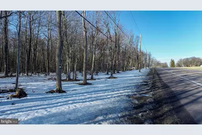 49.08 Acres Maryland Highway, Swanton, MD 21561 - Photo 4