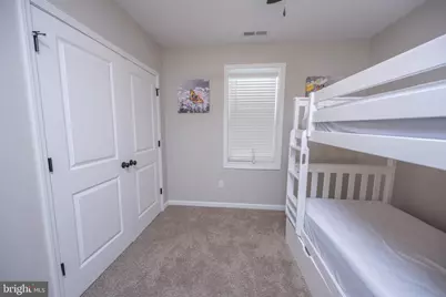 448 Biltmore View, Mc Henry, MD 21541 - Photo 46