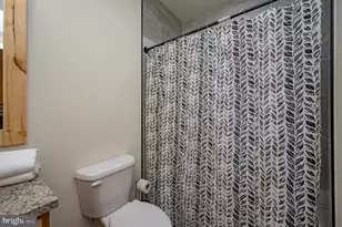 310 Campfire Dr, Mc Henry, MD 21541 - Photo 36