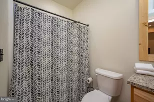 310 Campfire Dr, Mc Henry, MD 21541 - Photo 40