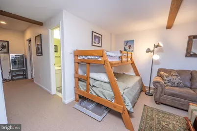 17 Slopeside Terrace #10D, Mc Henry, MD 21541 - Photo 22