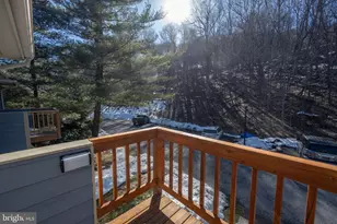 17 Slopeside Terrace, Mc Henry, MD 21541 - Photo 36