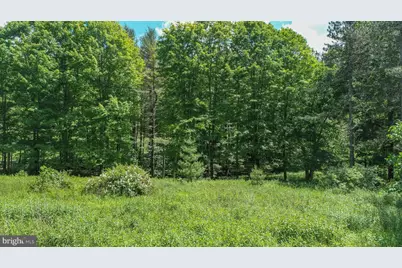 21 Fantasy Lane, Mc Henry, MD 21541 - Photo 6